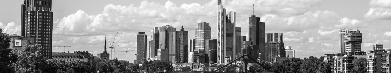 Frankfurt am Main, PRGN, Investor Relations, IR agency